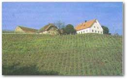 kmetija