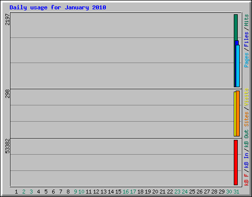 Daily usage for January 2010